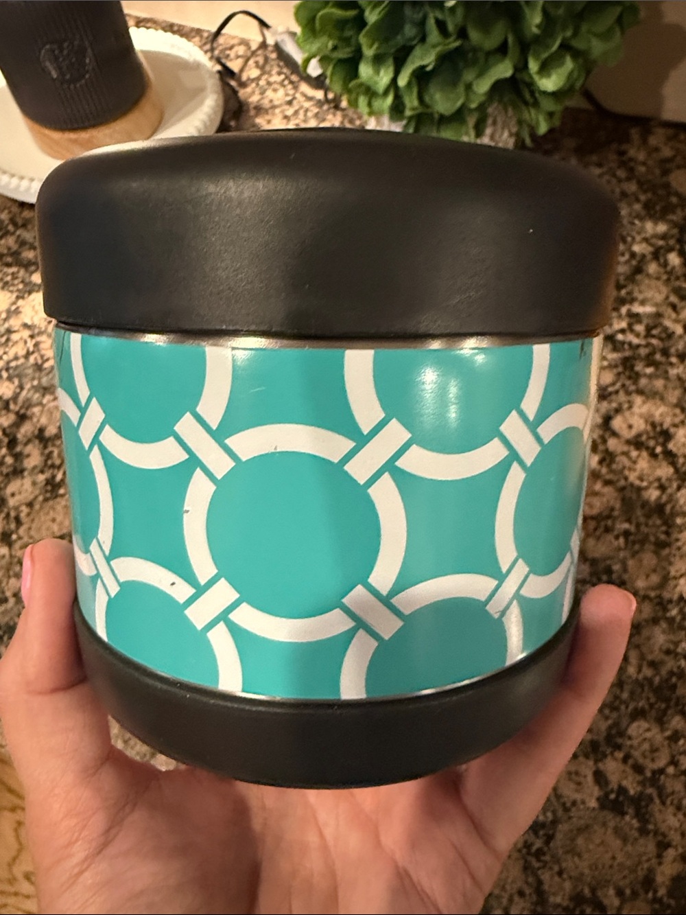 Pottery Barn Teen  Turquoise Geometric insulated container